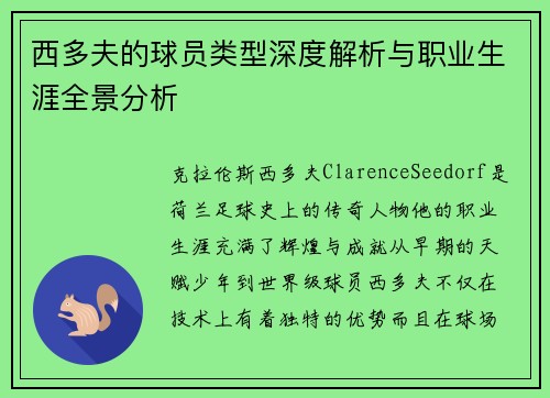 西多夫的球员类型深度解析与职业生涯全景分析